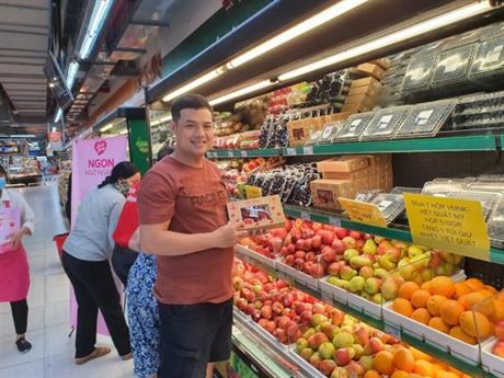 Techmart Công nghệ sau thu hoạch trực tuyến 2021: Túi hút khí Ethylene – Giải pháp ức chế hiệu quả quá trình chín nhanh của nông sản